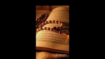 القران الكريم سورة الناس #القرآن_الكريم #قرآن