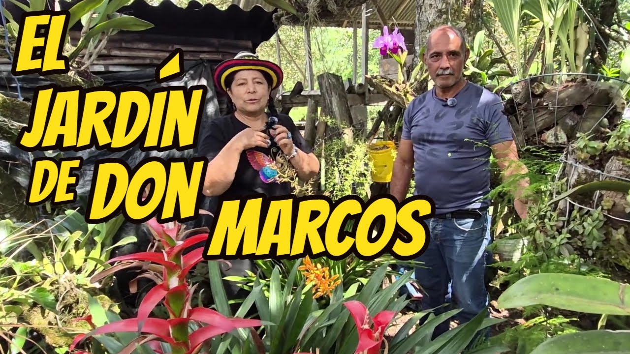 Hermoso JARDIN de Don Marcos| Tour por el Jardín.