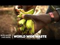 Turning Used Banana Stems Into Hair Extensions And Fabric | World Wide Waste