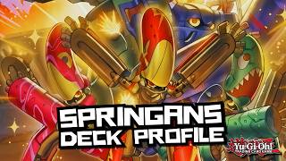 Springans Deck Profile + Combos  2026 | Burst Protocol