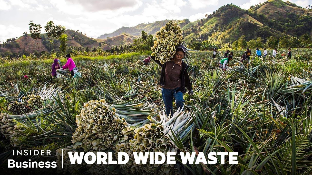 ⁣How People Profit Off Pineapple Scraps | World Wide Waste | Insider Business