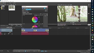 Easy Color Correction with Log Footage in Vegas Pro 15