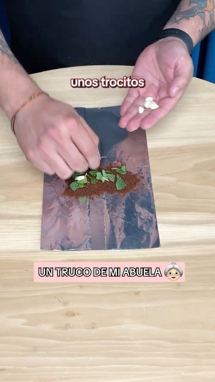 Elimina hormigas sin químicos con este truco natural