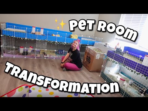 PET ROOM TRANSFORMATION?! | building new guinea pig cages!
