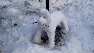 Kardan Köpek Çomar