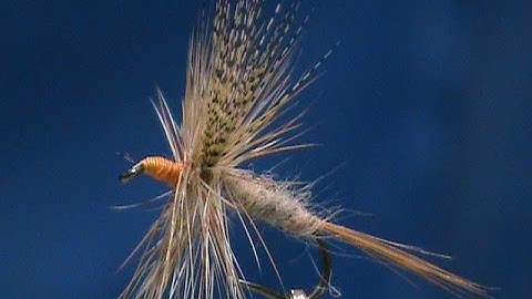 Catskill Classic March Brown with Jim Misiura