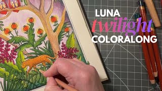 Coloring in Luna with Zig Clean Color Pens, Derwent Drawing Pencils, Stabilo Woody & Stickles