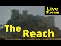 The Reach - livestream Q&A