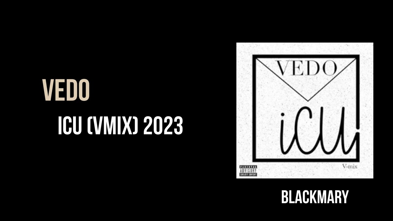 Vedo   ICU Vmix 2023 BKM