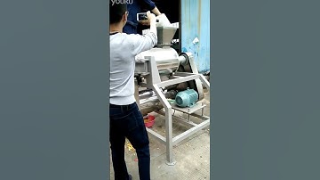 mango destoner and pulper pulping machine, Mango juice making processing juicer extractor machine