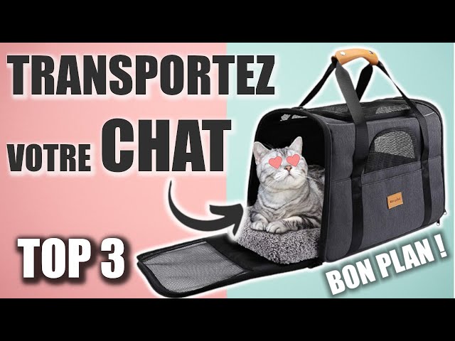 Notre sélection des meilleurs sacs de transports pour votre chat