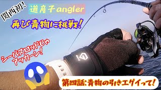 青物の引きエグイっしょ！ ～ショアジギ一年生に青物再び！今度はシーバスロッドで挑戦～ が，してやられた...。【ショアジギング 泉州エリア】【钓鱼记录片】