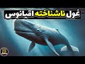 نهنگ عنبر غول اعماق آب ها که صدایش ترسناک تر از زلزله است نهنگ عنبر غول اعماق آب ها که صدایش ترسناک تر از زلزله است