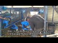 Nigeria 3tph palm oil processing machine commissioning video