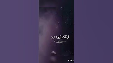 تلاوة جميلة 🌹 #فلسطين_حرة #اكسبلور #لايك