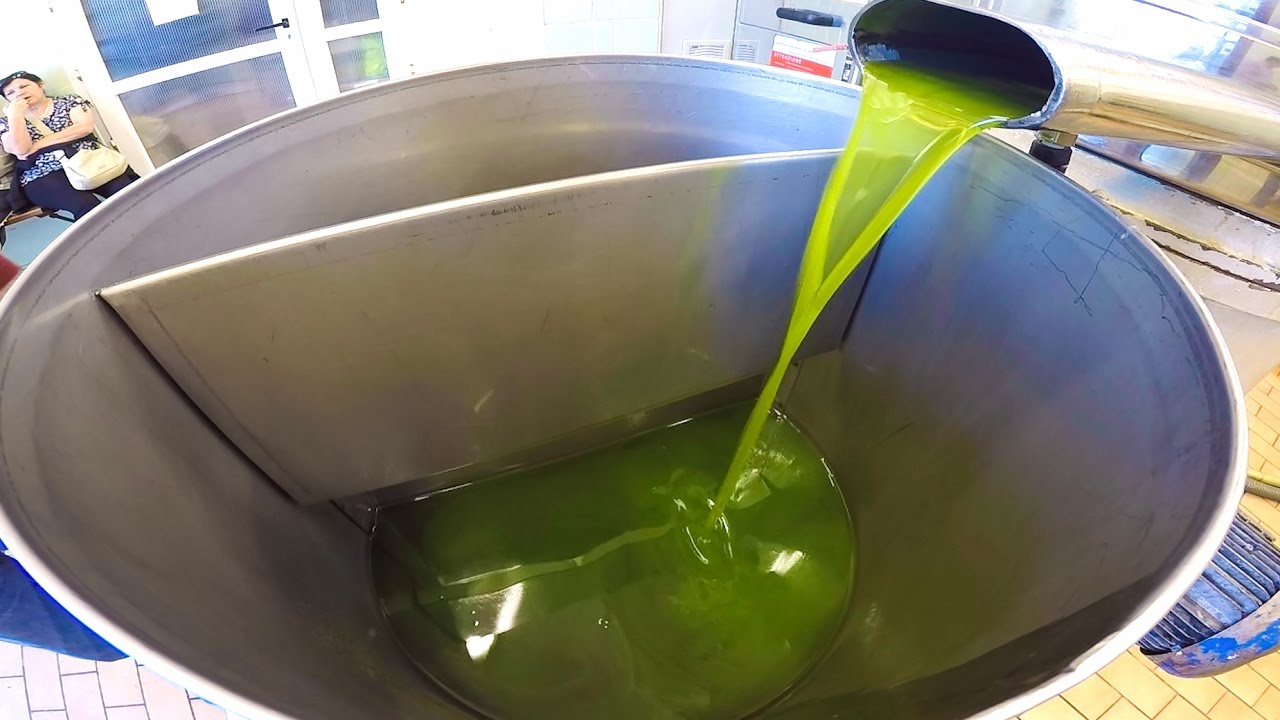 Il processo di trasformazione che porta dall'oliva all'olio extravergine -  YouTube