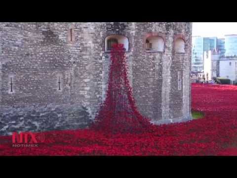 Vídeo: Exhibición De Amapolas De La Torre De Londres Regresa A Los Museos De Londres