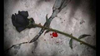 tamer ana khontik embare7