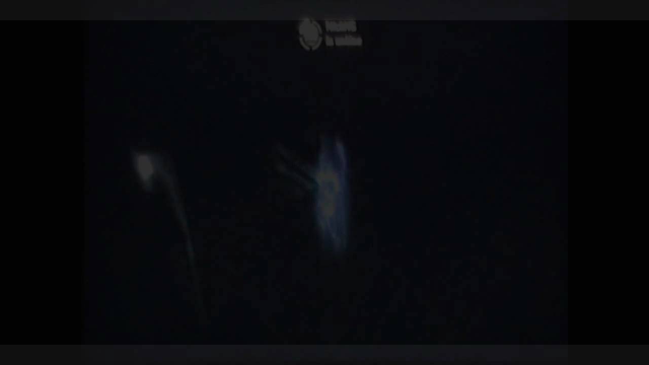 Assassin's Creed 2 Venus Statue YouTube