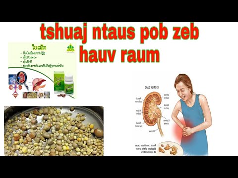 Video: Lub Raum Lub Pob Zeb (Struvite) Hauv Cov Dev