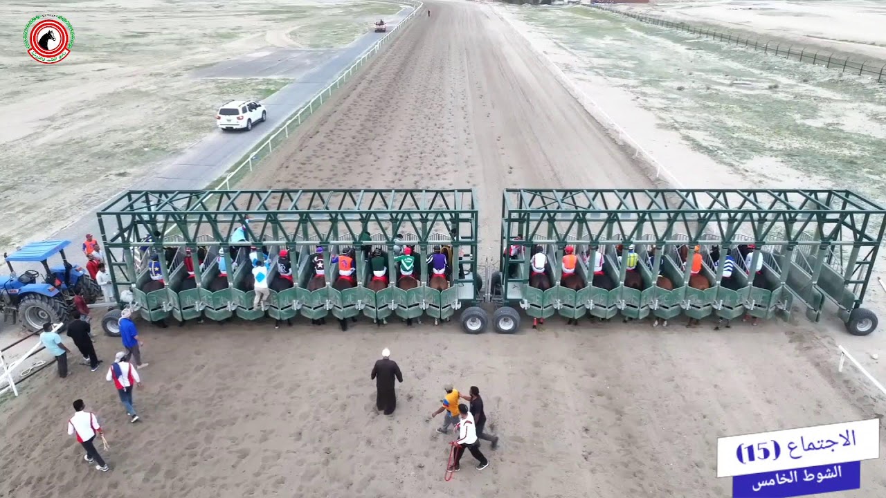 الاجتماع الخامس عشر مضمار الشيخ صباح الناصر الصباح 11/2/2026