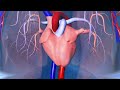 Overview of Inova's Structural Heart / Valvular Heart Disease Program