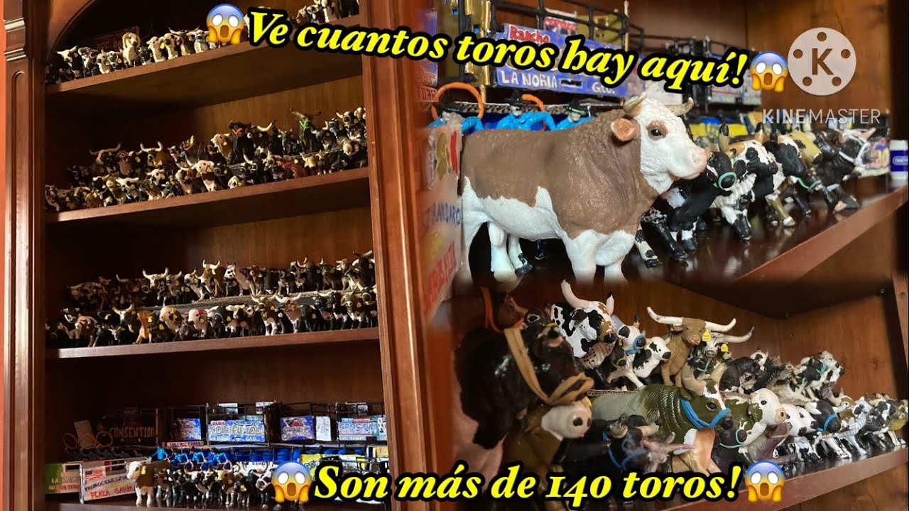 Ve cuantos toros hay aquí! Más de 140! Colección de Toros de Juguete Rancho  El Consentido! 🐮🤠 