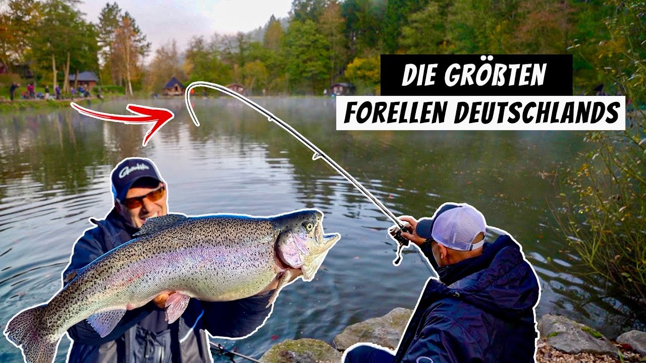 Alles was du über Forellenangeln wissen musst | Das A bis Z am Forellensee mit Waldemar Merdian