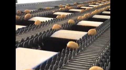 Διαλογή και Συσκευασία Ακτινιδίων - Sorting and Packing Line for Kiwi and Stone Fruits_Novatec