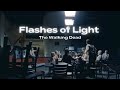 Flashes of Light || Walking Dead Edit
