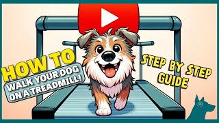 How To Walk Your Dog on a TREADMILL! | Step by Step Guide!