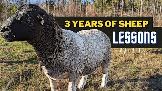 5 Sheep Mistakes That Will Cost You Your Sanity