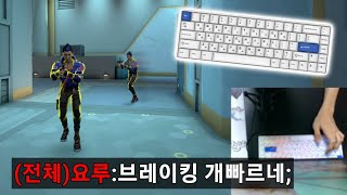 래피드 트리거가 분신연기에 미치는 영향 / 레이븐68 키보드 리뷰