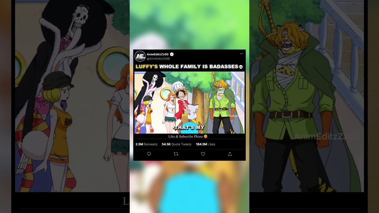  Luffy S Whole Family Is Badasses EDIT Onepiece Shorts Garp Sabo Monkeyddragon