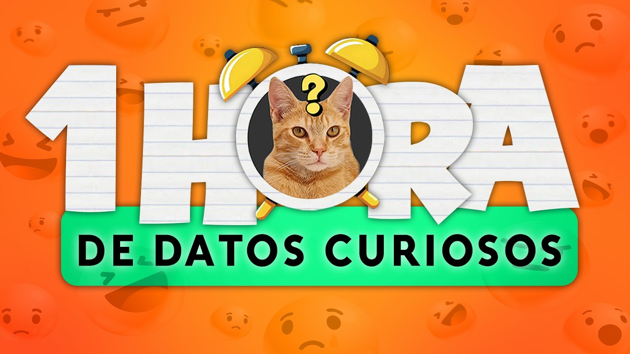 1 HORA de DATOS CURIOSOS y COSAS QUE NO SABÍAS! ⏰😲