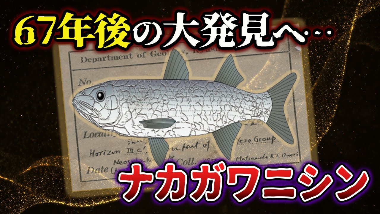【ゆっくり解説】なぜナカガワニシンが発見されたのか？一枚の紙片から判明した67年の奇跡