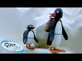 Pingu Goes on Trips 🐧 | Pingu - Official Channel | Cartoons For Kids