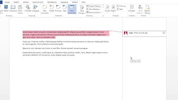 How to insert Comments in Microsoft Word 2010