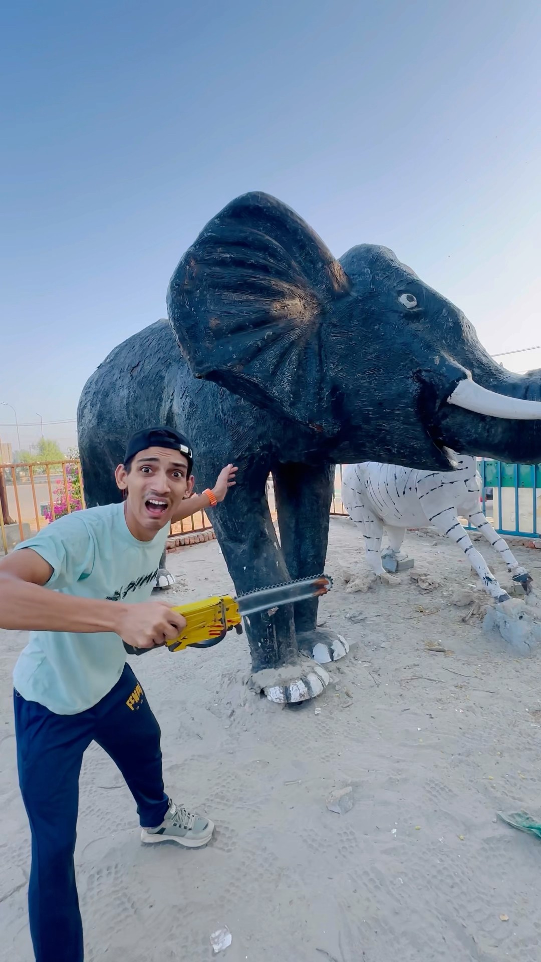 Gh Elephant Needs Help ?|