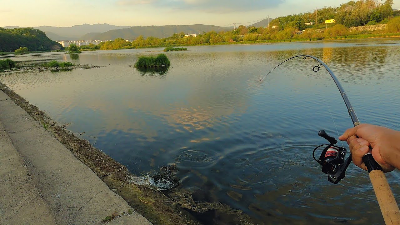 South Korea River Fishing! YouTube