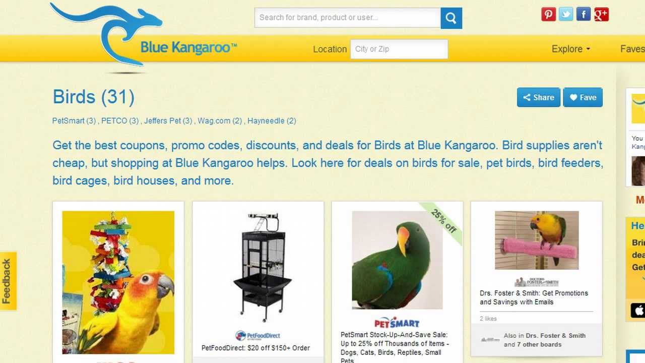 Discount Bird Supplies | Cheap Bird Cages and Bird Feeders