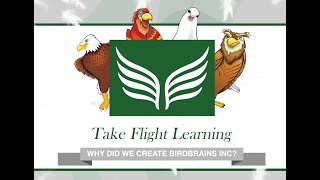 Why Create BirdBrains, Inc.?