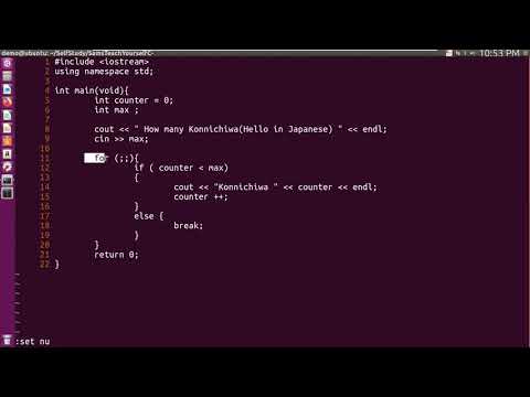 C++ | Empty For Loop Statement