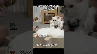 Ranking Best Yosho Moments Hai