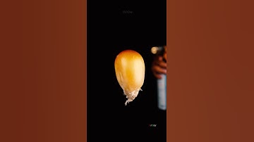 How popcorn pops in slow motion and macro #urday #macro #satisfy #closeup