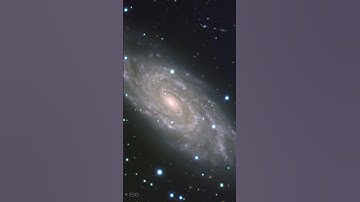 NGC 6118: A Delicate Spiral Galaxy Revealed