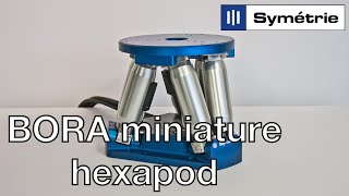 Bora Hexapod - Precise And Small Hexapod By Symétrie
