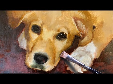 How to Paint a Labrador Retriever in Oil | Pet Portrait Walkthrough