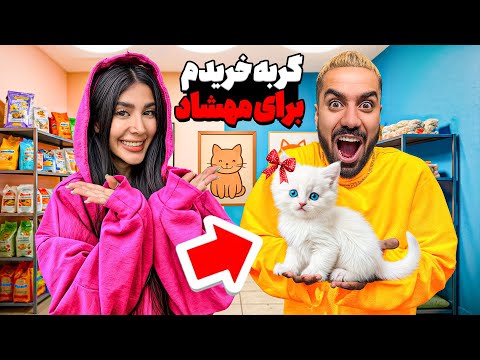 برای مهشاد گربه خریدم 