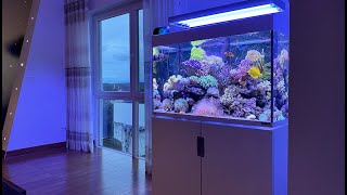 GERMAN REEF TANKS - Eheim incpiria marine 300 Liter - Meerwasseraquarium - #aquarium #reeftank #tour